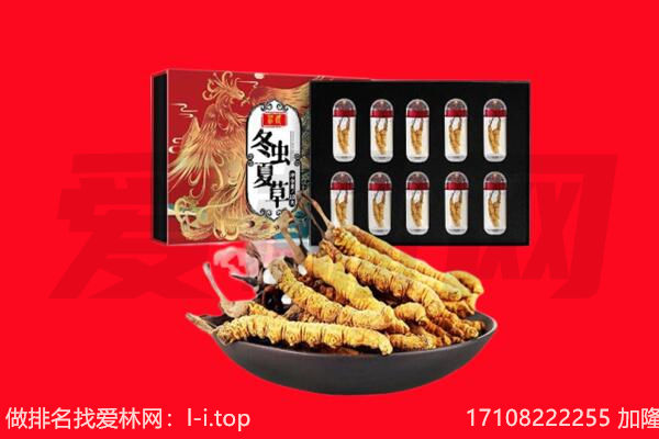 伊宁县回收虫草.jpg